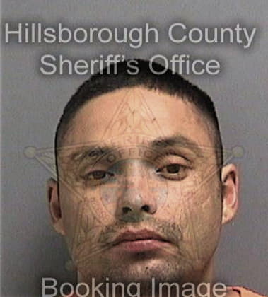 Travis Brinson - Hillsborough County, FL 