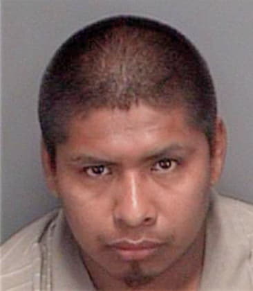 Cesar Candelario, - Pinellas County, FL 