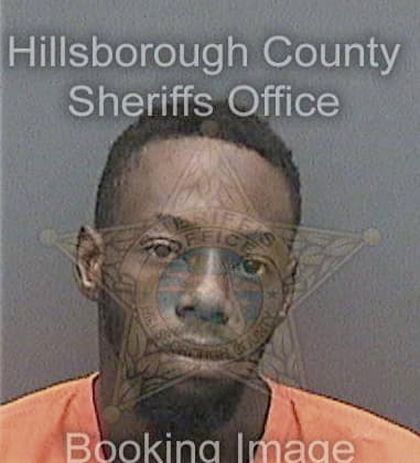 Robert George, - Hillsborough County, FL 