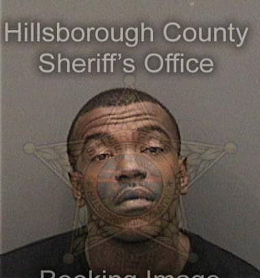 Herbert Herds - Hillsborough County, FL 