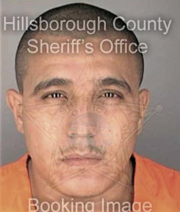 Efren Hernandez - Hillsborough County, FL 