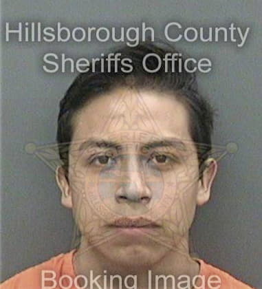 Travis Kirkland, - Hillsborough County, FL 