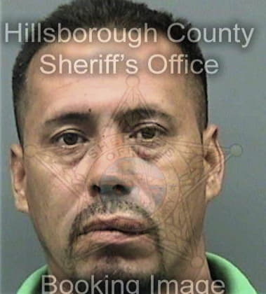 Jeremy Lee, - Hillsborough County, FL 