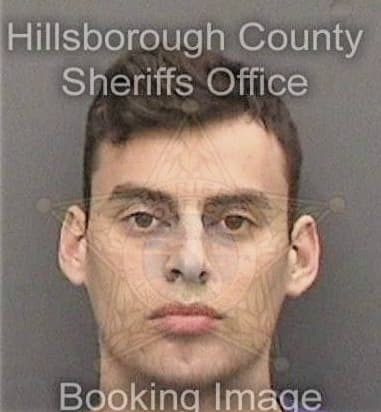 Francisco Roblesramos, - Hillsborough County, FL 