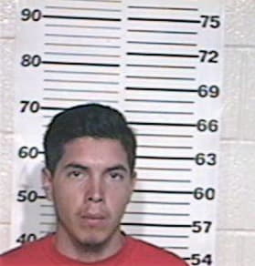 David Salinas, - Hidalgo County, TX 