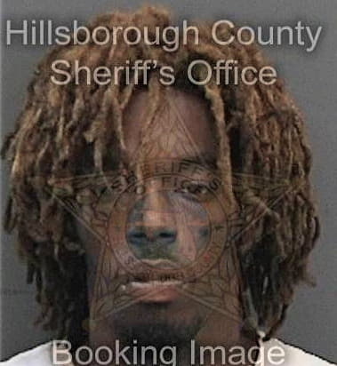 Rashawn Vereen, - Hillsborough County, FL 