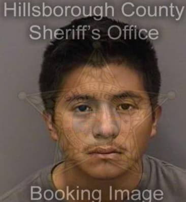 Kevin Bacon, - Hillsborough County, FL 