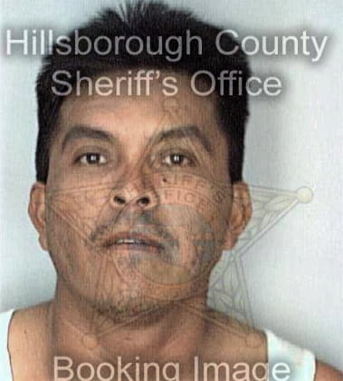 Alejandro Baraybar, - Hillsborough County, FL 