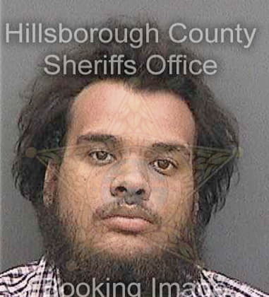 Rogelio Carrionvargus, - Hillsborough County, FL 