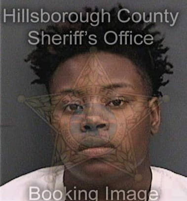 Alshawndre Harrell, - Hillsborough County, FL 