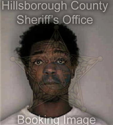 Preston Hicks - Hillsborough County, FL 