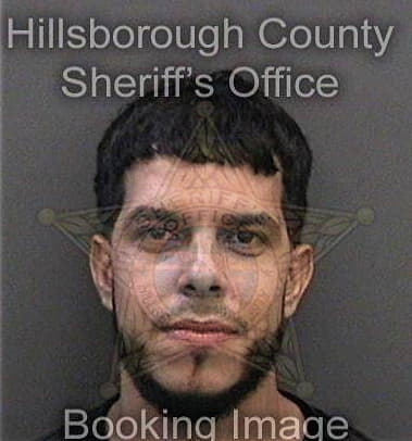 Jorge Martinezsantiago, - Hillsborough County, FL 