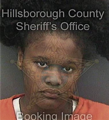 Tiffany McGivery - Hillsborough County, FL 