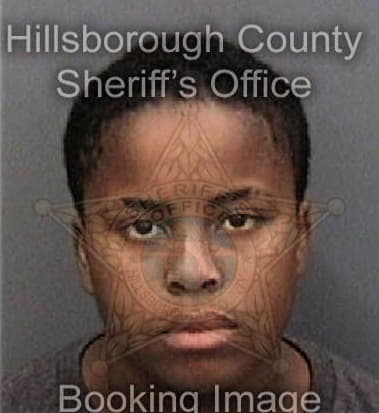 Jeraldine McKinley - Hillsborough County, FL 