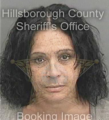 Ariel Roark - Hillsborough County, FL 