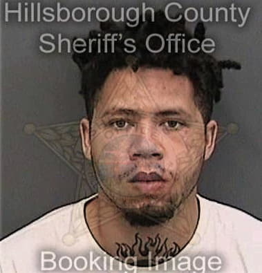 Branham Theodore, - Hillsborough County, FL 