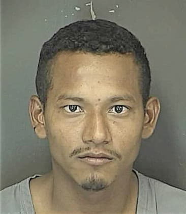 Leonel Velasquez, - Charleston County, SC 