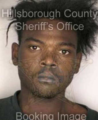 Robert Williams, - Hillsborough County, FL 