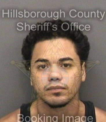 Robert Williams, - Hillsborough County, FL 