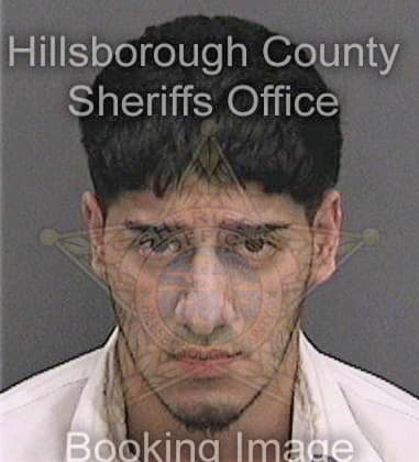 Timothy Wilson, - Hillsborough County, FL 