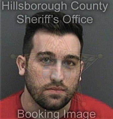 Michel Alvarez, - Hillsborough County, FL 