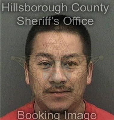 David Brown, - Hillsborough County, FL 