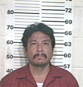 Enrique Castellanos, - Hidalgo County, TX 