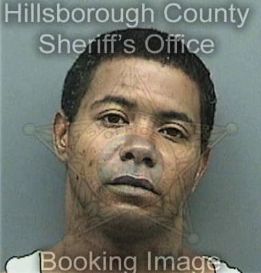 Tyrone Devlin, - Hillsborough County, FL 