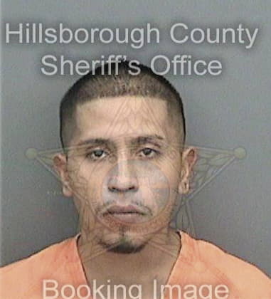 Ernesto Hernandez - Hillsborough County, FL 