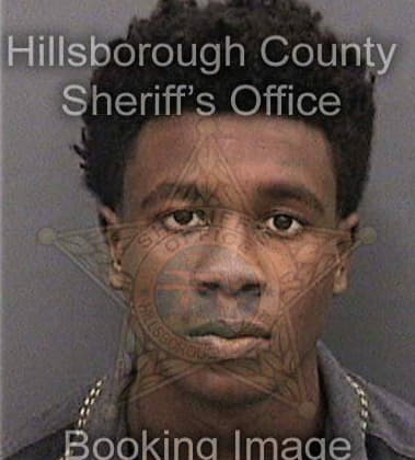 Everett Hudson, - Hillsborough County, FL 