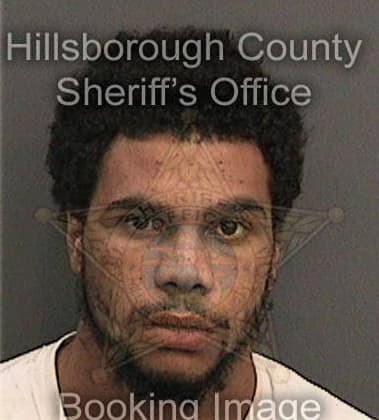 Clayton Lee, - Hillsborough County, FL 