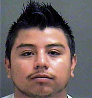 Erik Magana, - Mecklenburg County, NC 