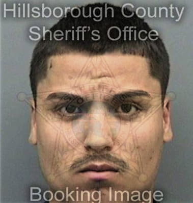 Alejandro Palaciosriva, - Hillsborough County, FL 