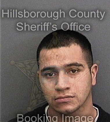 Michael Brittingham, - Hillsborough County, FL 