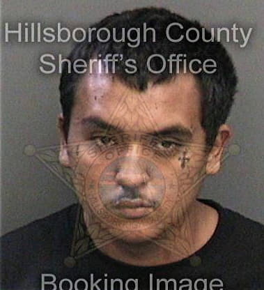 Travis Bryant, - Hillsborough County, FL 