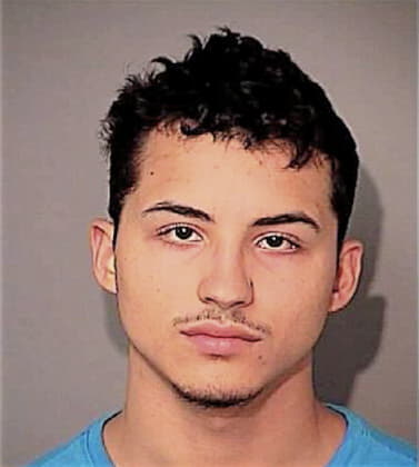 Luis Cruz-Alvarado, - Osceola County, FL 