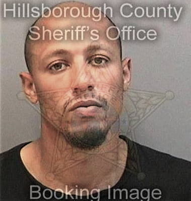 Ronald Fulton, - Hillsborough County, FL 