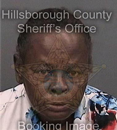 Hope Meeks - Hillsborough County, FL 