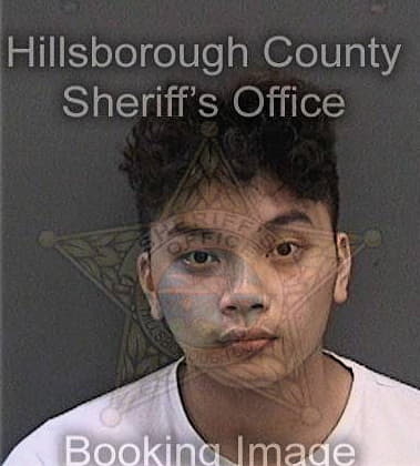 Pha Truong, - Hillsborough County, FL 