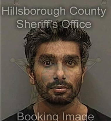 Kishan Bhatt - Hillsborough County, FL 