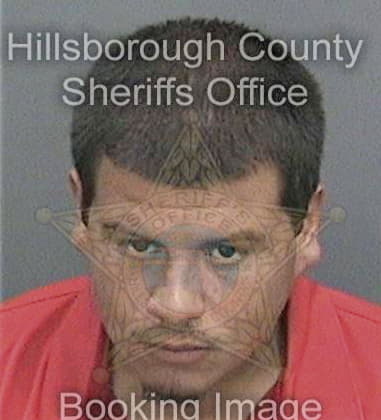 Agustin Dominguezramos, - Hillsborough County, FL 