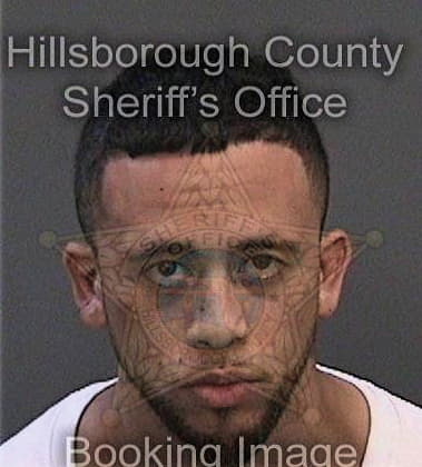 Daniel Hyde, - Hillsborough County, FL 