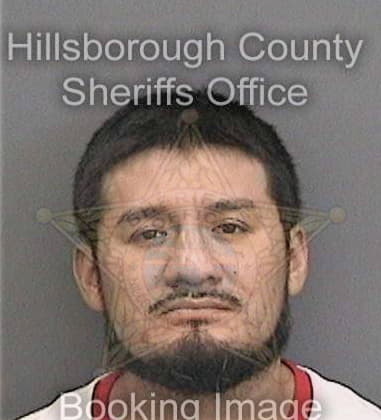 Taylor Kline, - Hillsborough County, FL 