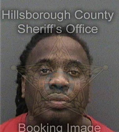 Leilan Lewis, - Hillsborough County, FL 