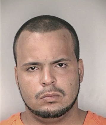 Daniel Mayes - Hillsborough County, FL 