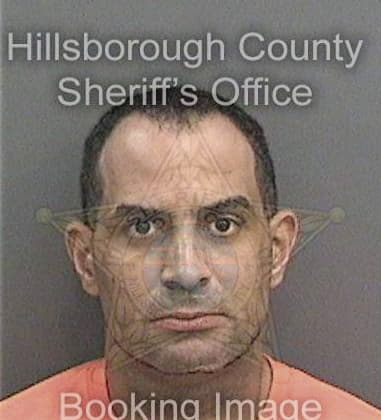 Arasb Mazandarani - Hillsborough County, FL 
