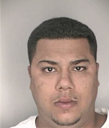 Robert McElwee - Hillsborough County, FL 