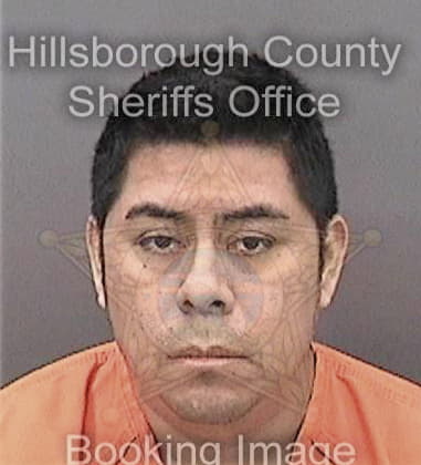 Daniel Young, - Hillsborough County, FL 