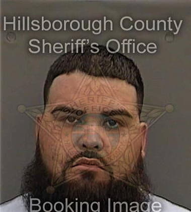 Marlon Caceresmoncada, - Hillsborough County, FL 