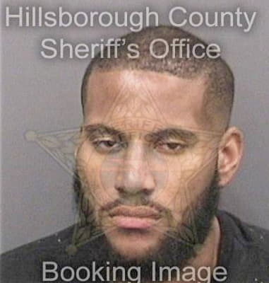 Christian Irizarryhernandez, - Hillsborough County, FL 